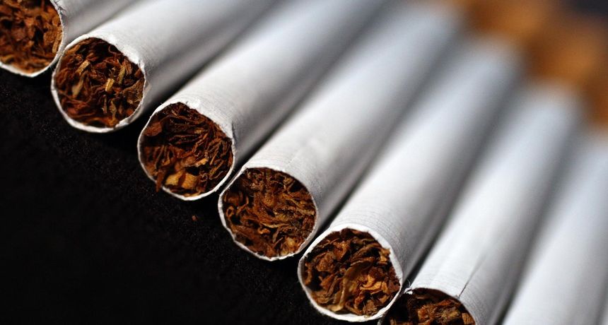 cigarete-borna filić pixsell