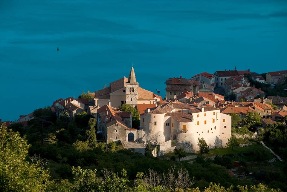 miljenko šegulja