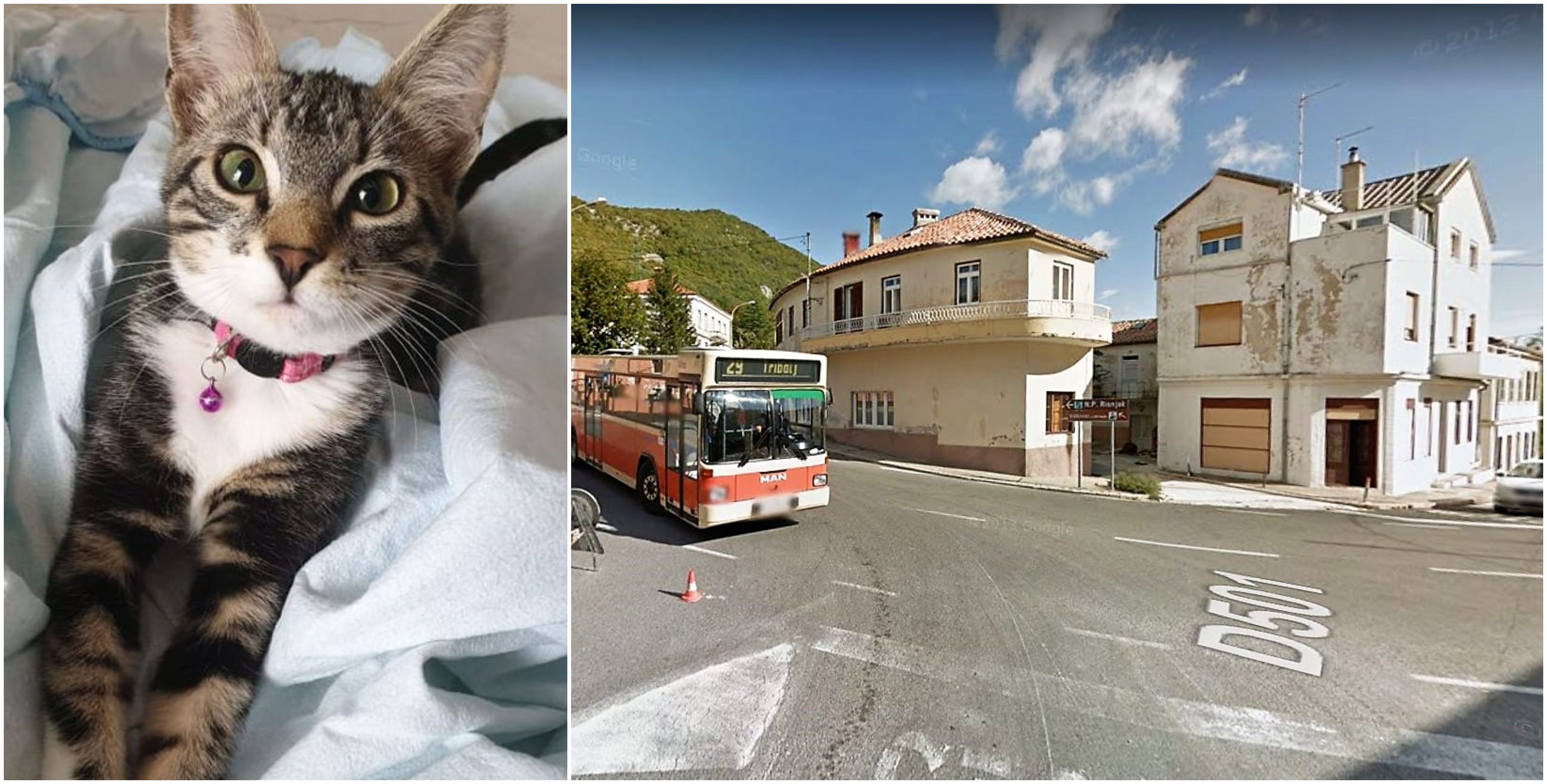mačka križišće naslovna