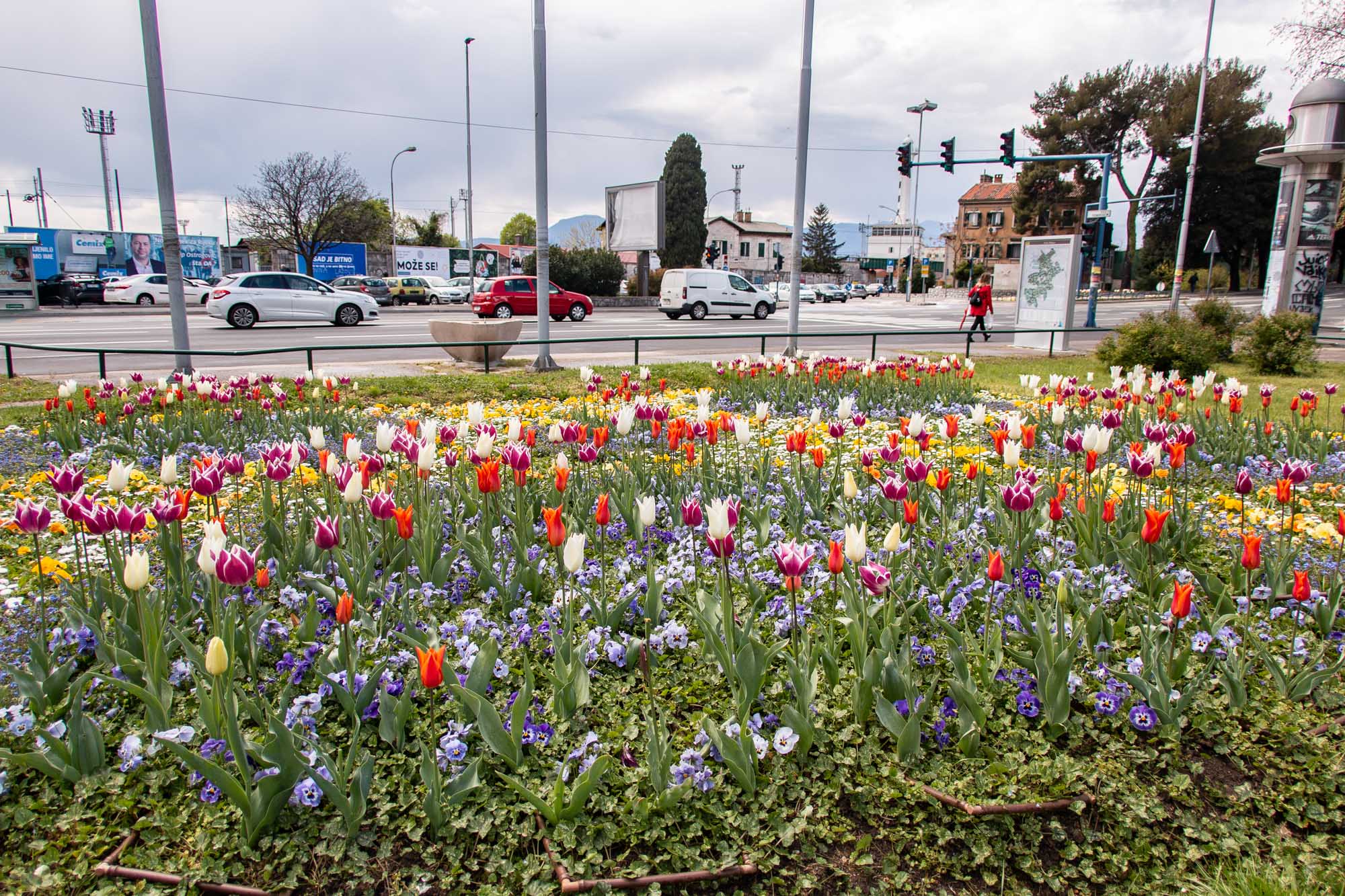 Park Mlaka Cvijeće Proljeće Tulipani KD Čistoća Park Mlaka Cvijeće Proljeće Tulipani KD Čistoća