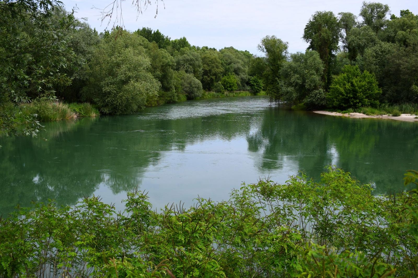 Ušće Mure u Dravu