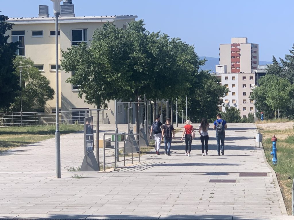 izlozba kampus sapice na zadatku psi (2)