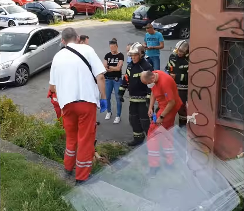 zg zg
