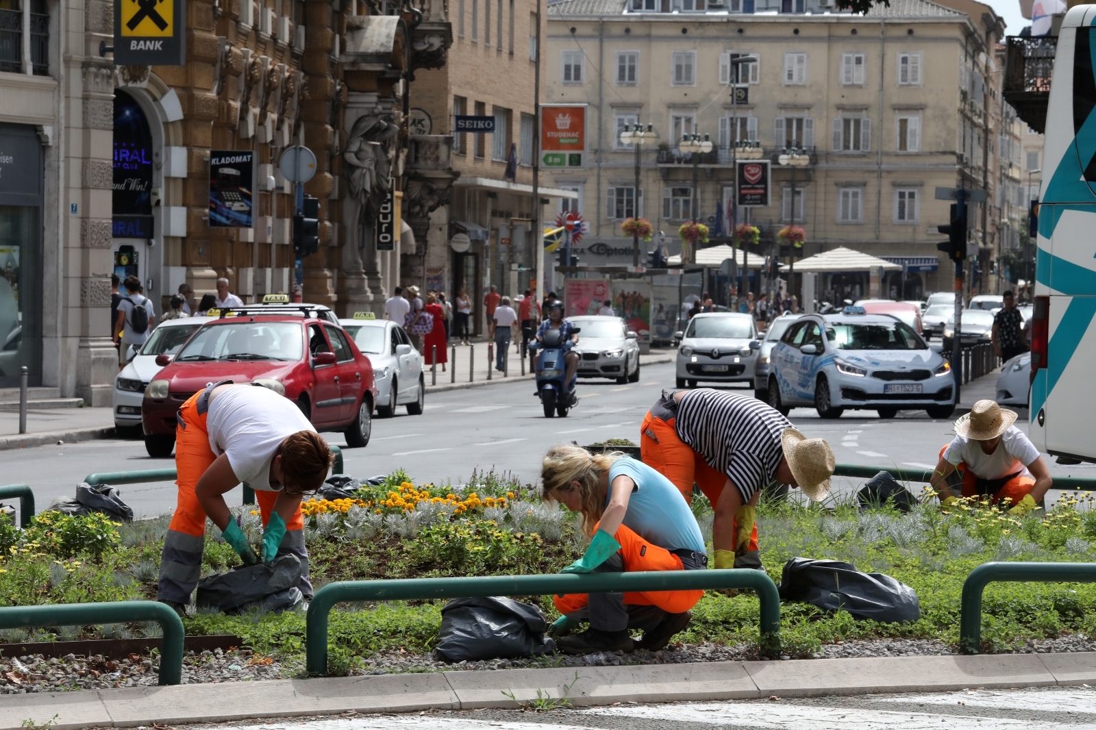 Rijeka: Djelatnice tvrtke Parkovi plus uređuju cvijetni otok na trgu Žabica Rijeka: Djelatnice tvrtke Parkovi plus uređuju cvijetni otok na trgu Žabica