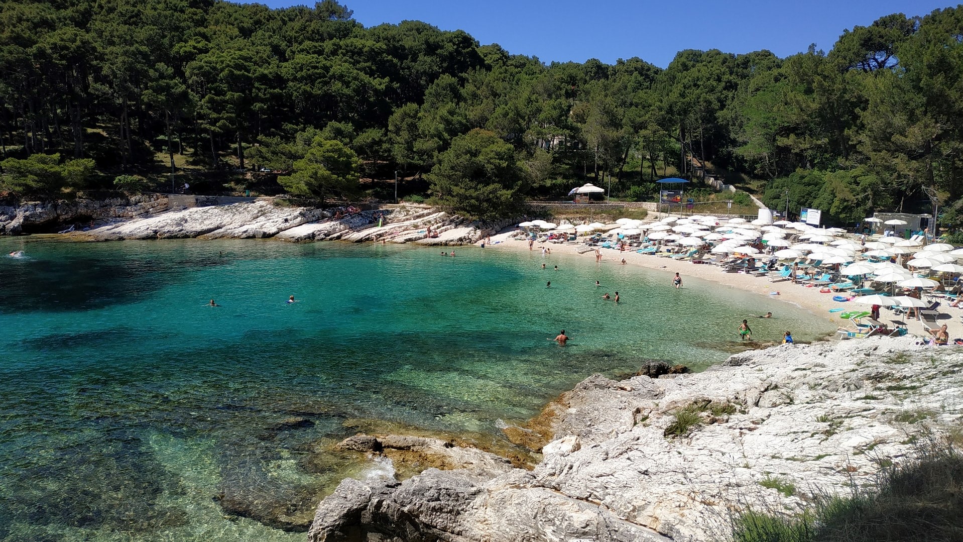 lošinj more uvala bor suma lošinj more uvala bor suma