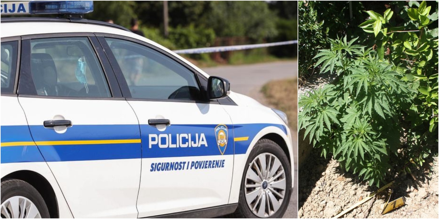 policija