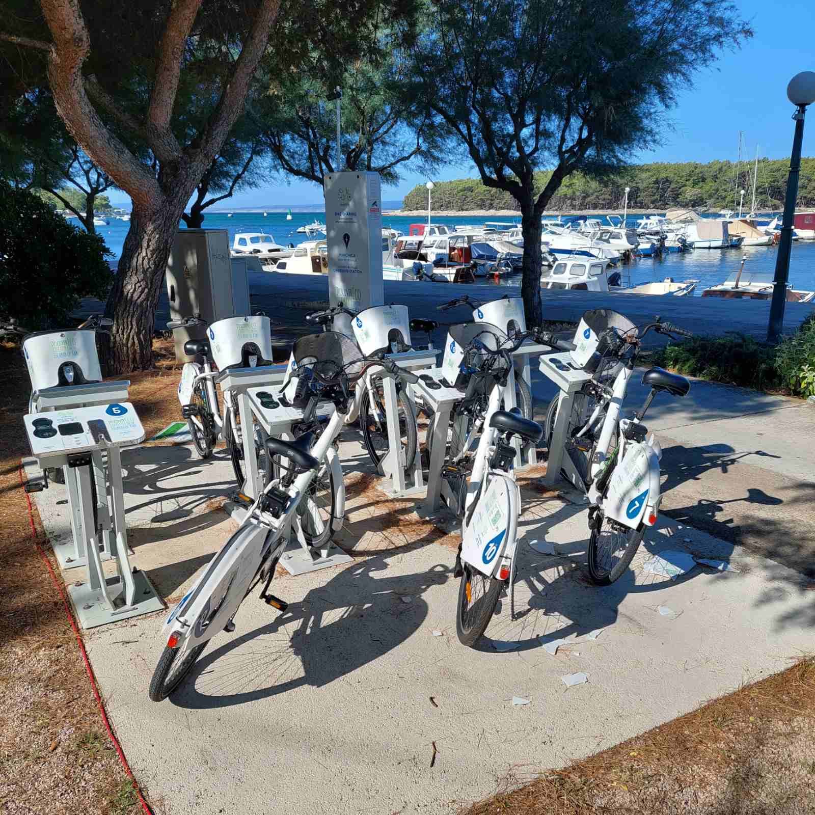 punat e-biikle 14