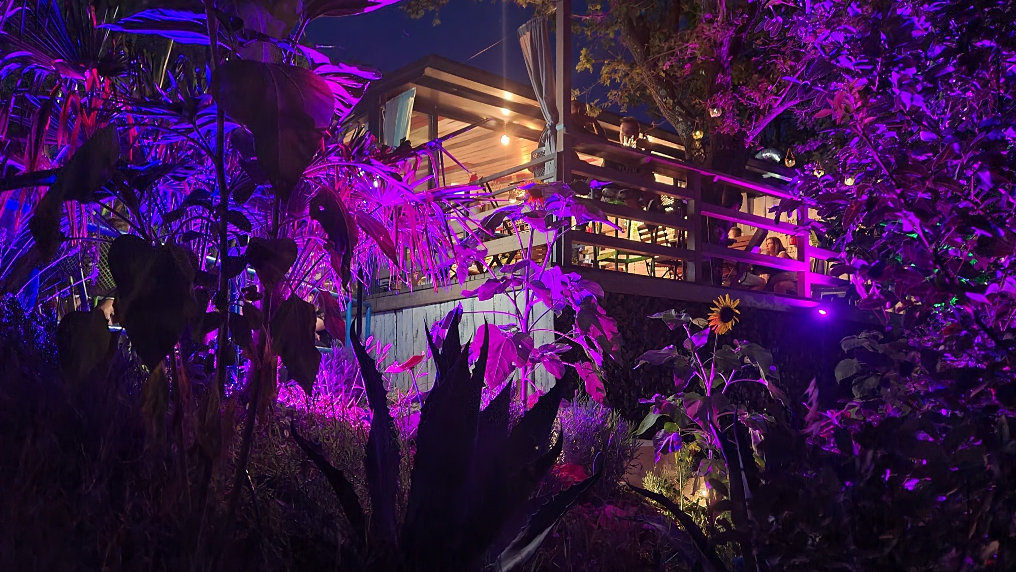 kostrena me gusta