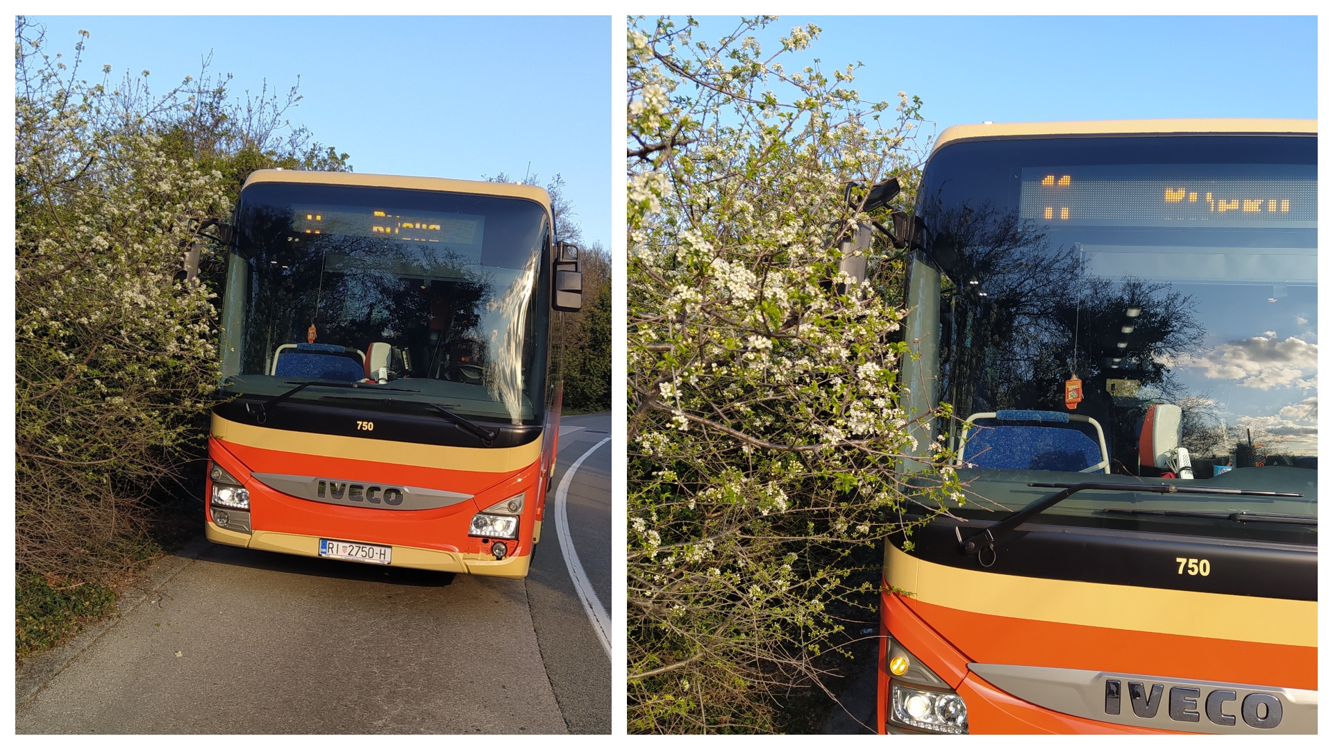 bus granje bus granje