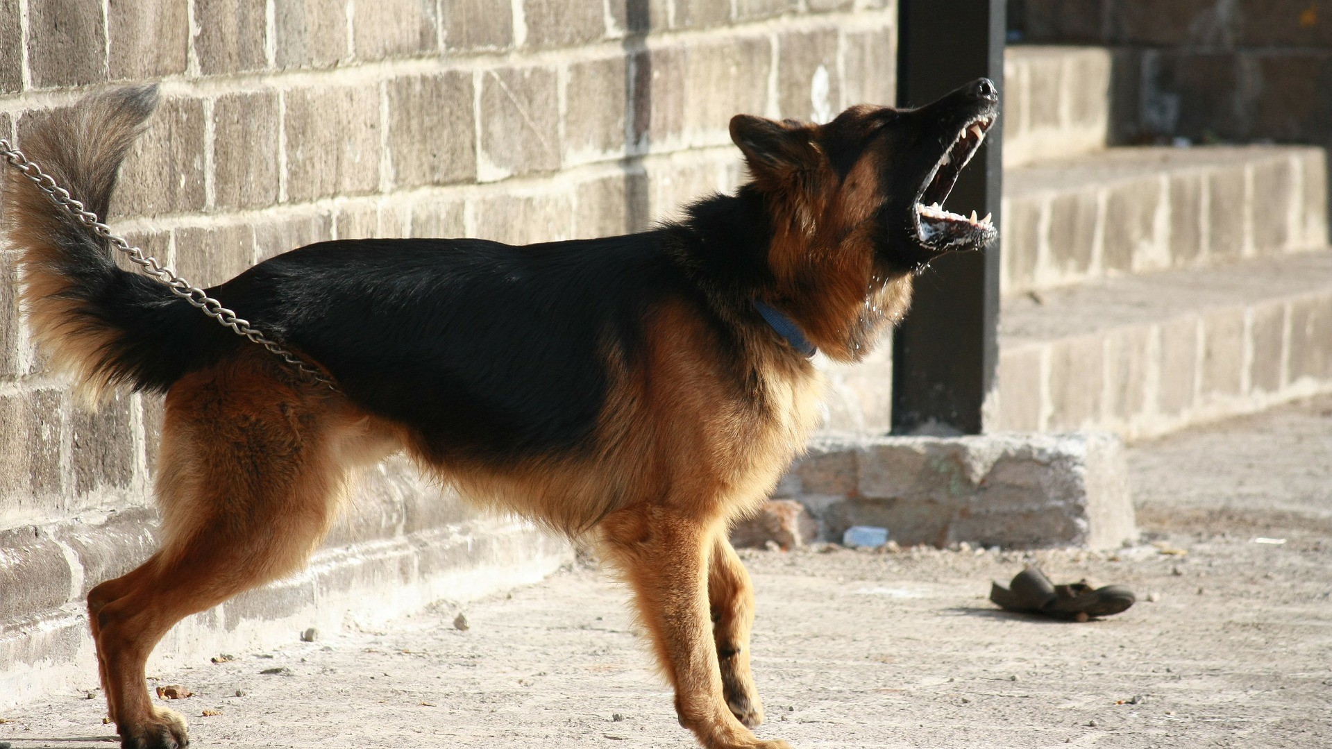 pas laje