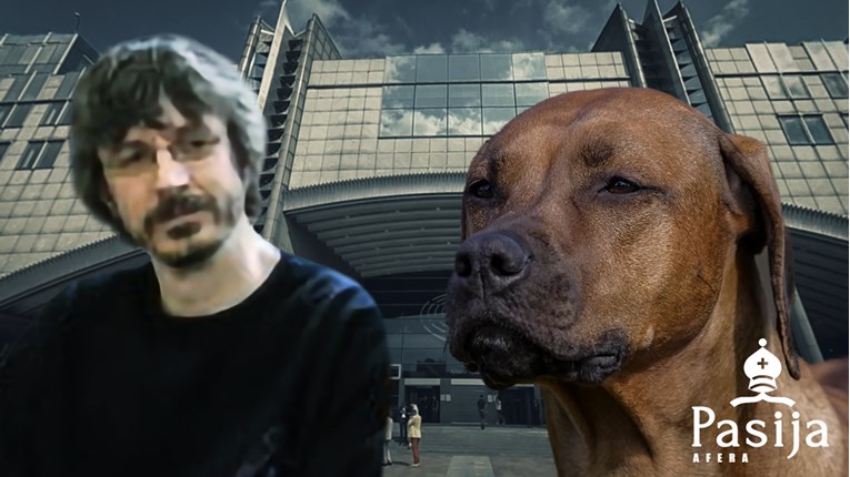 crkvenjak pas zlostavljanje crkvenjak pas zlostavljanje