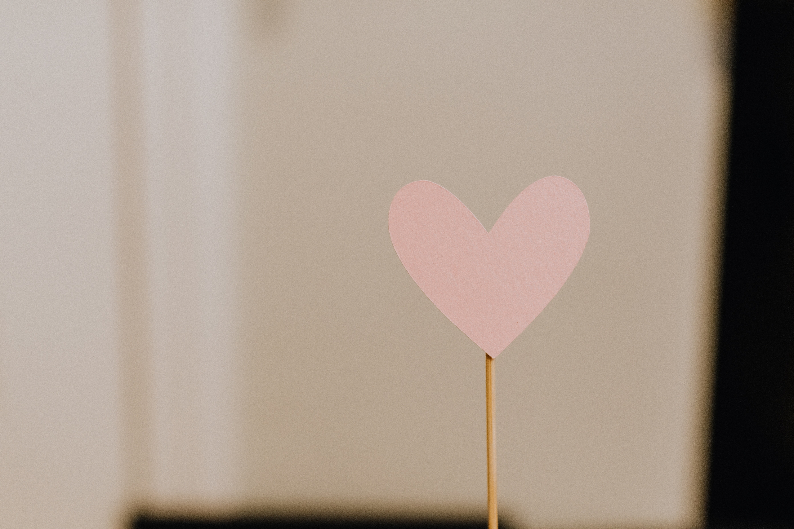 kelly-sikkema-afouGYcbPA8-unsplash