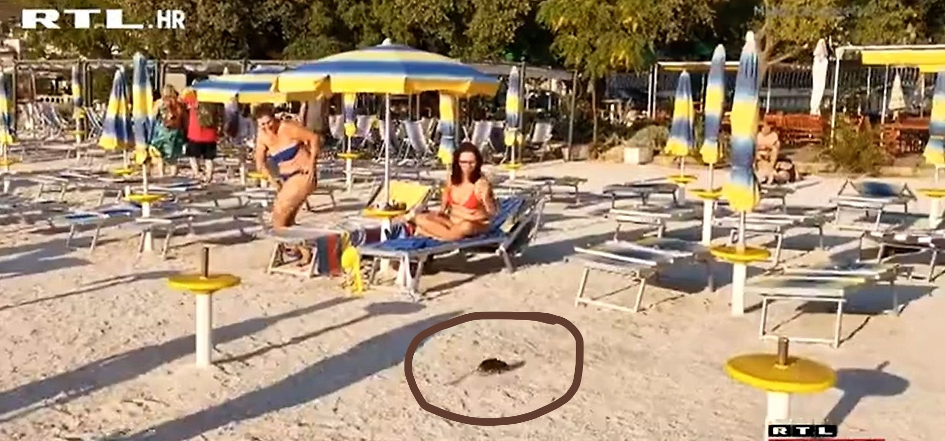 štakor selce plaža rtl_LI