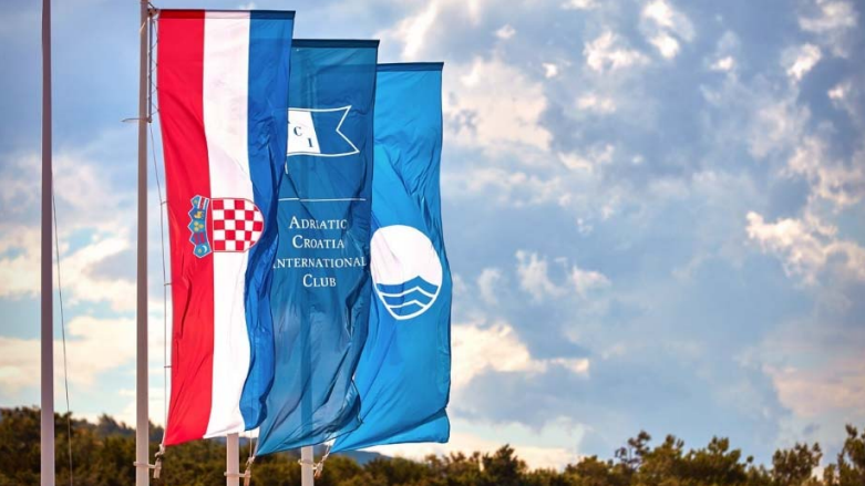 ACI dd