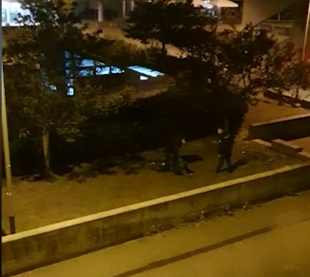policija