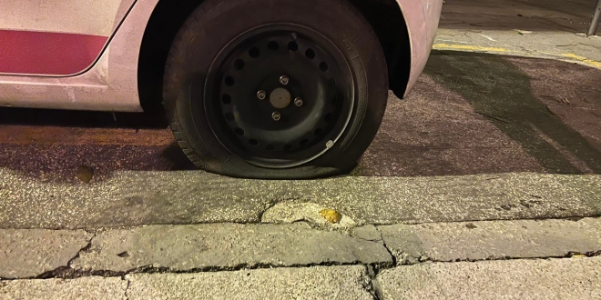 gume polo 4