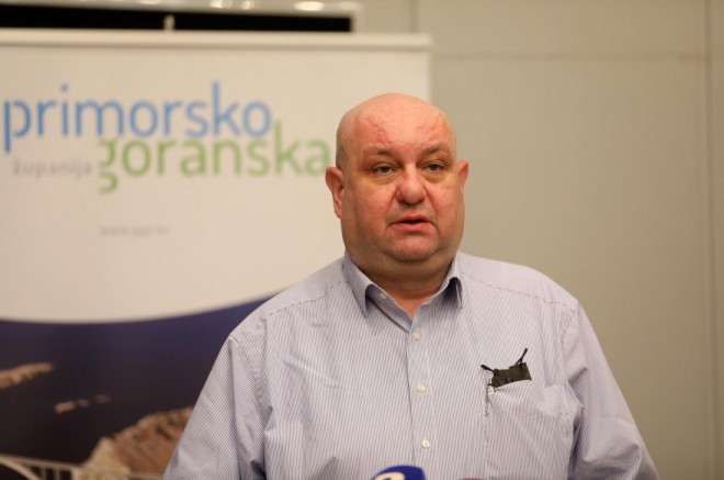 dobrica roncevic