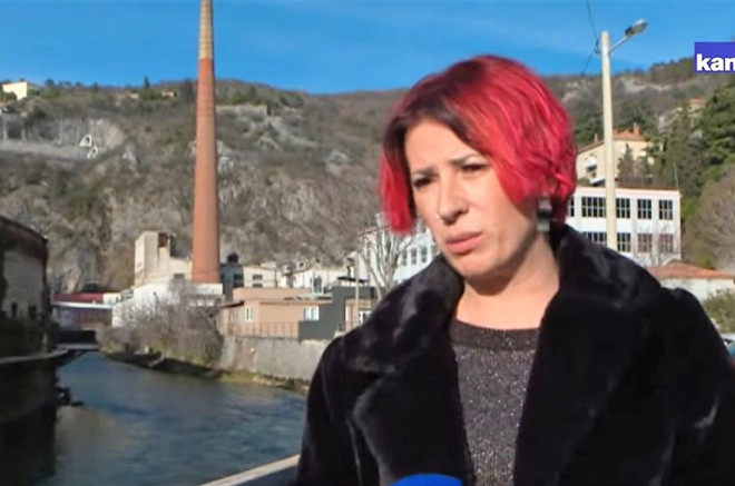 ana marija vizintin
