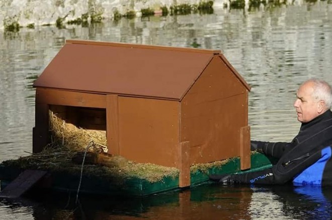 bakar divlje patke kucica (1)