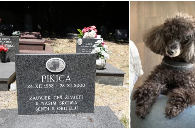 groblje ljubimaca lukovići naslovna