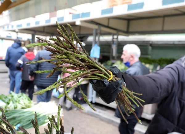 Prve šparoge stigle su na riječku tržnicu iz Dalmacije i prodaju se za 300 kuna za kilogram