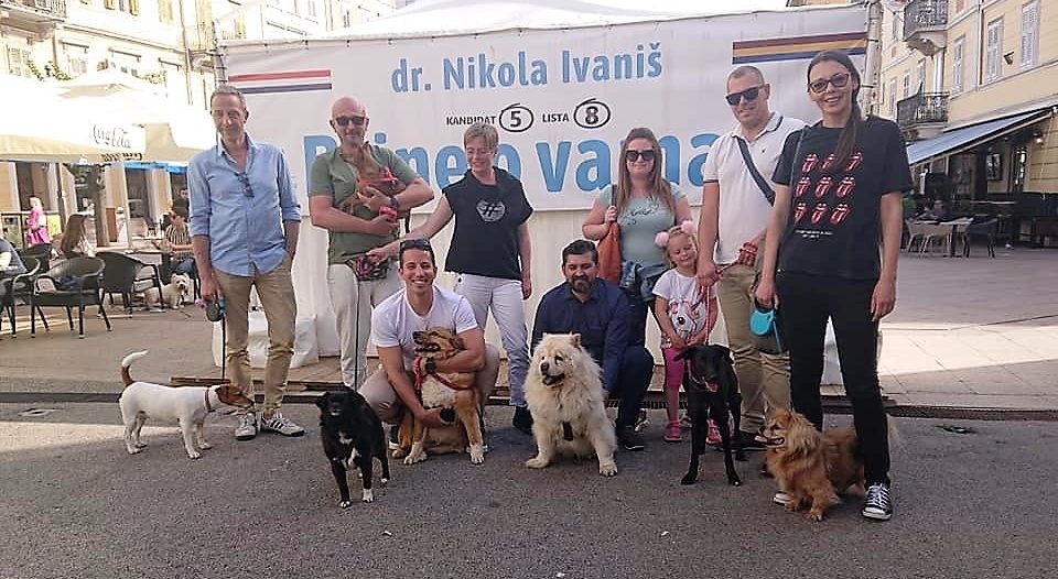 PGS – psi Zbrinjavanje napuštenih kućnih ljubimaca PGS – psi Zbrinjavanje napuštenih kućnih ljubimaca