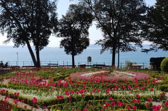 kamelija opatija 2022 fejs 14 kamelija opatija 2022 fejs 14