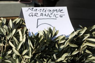 Rijeka: Na gradskog tržnici započela je prodaja maslinovih grana Rijeka: Na gradskog tržnici započela je prodaja maslinovih grana