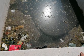 POTOK BRAJDA KVAR KULTURE 1 POTOK BRAJDA KVAR KULTURE 1