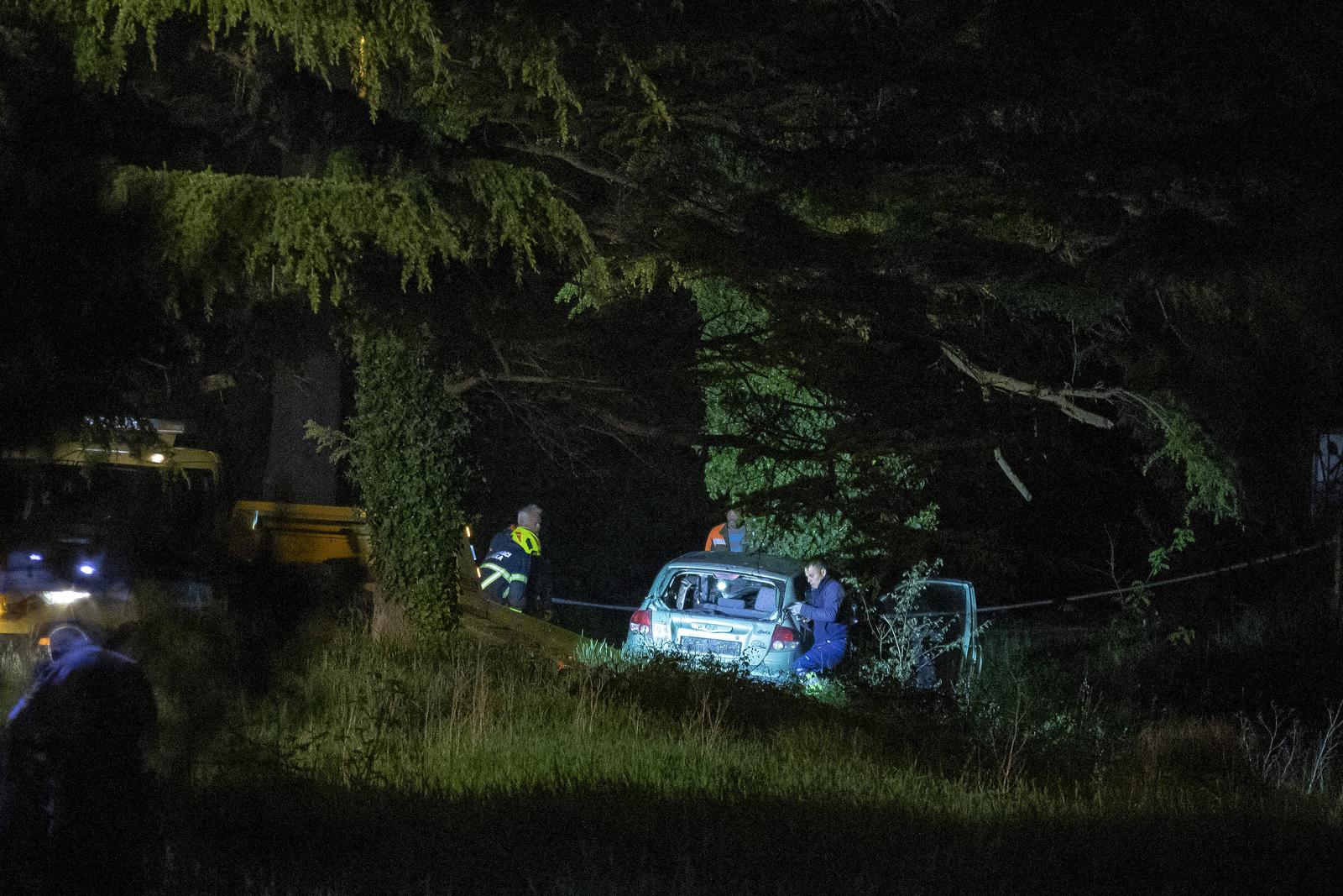 Pula: Auto sletio s ceste i udario u stablo, jedna osoba preminula Pula: Auto sletio s ceste i udario u stablo, jedna osoba preminula