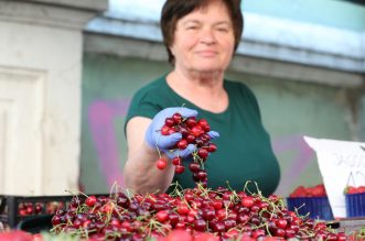 Rijeka: Prve ovogodišnje trešnje na tržnici prodaju se po 36 kuna za kilogram Rijeka: Prve ovogodišnje trešnje na tržnici prodaju se po 36 kuna za kilogram