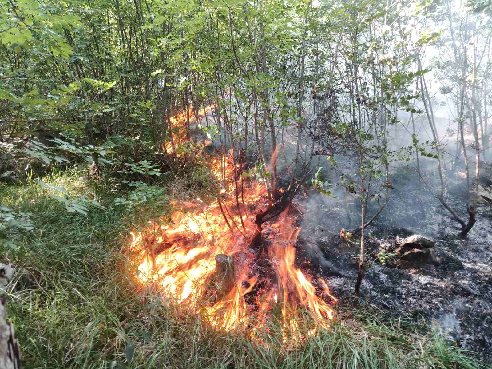 drenova vatrogasci lubanj 14 drenova vatrogasci lubanj 14