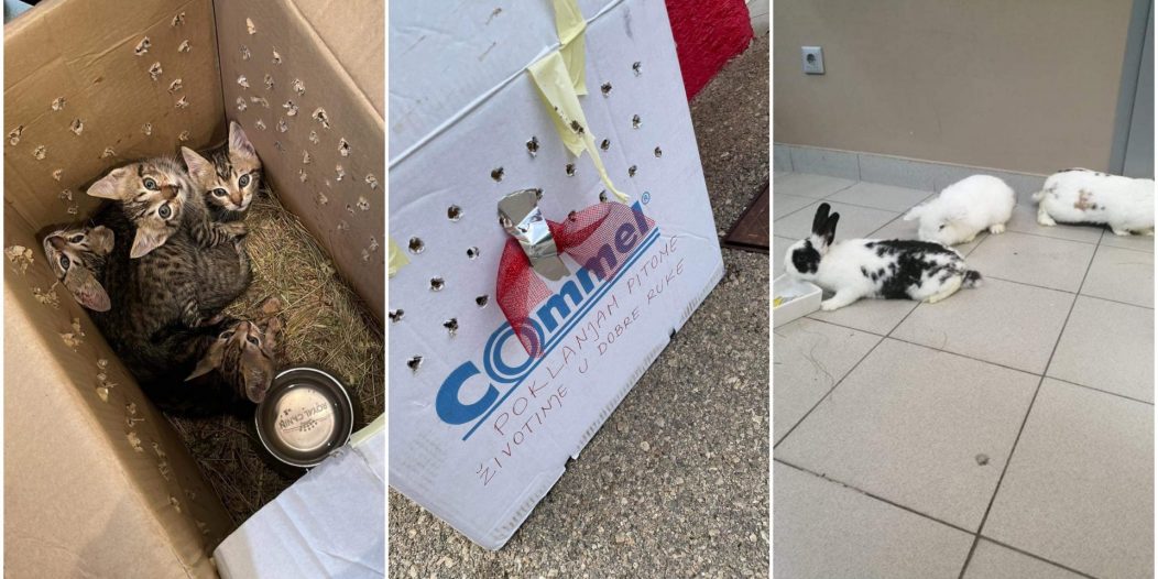 pet centar škurinje naslovna pet centar škurinje naslovna