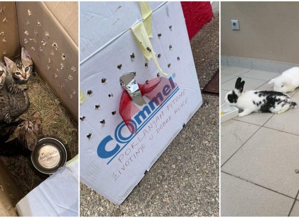 pet centar škurinje naslovna