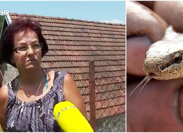 riđovke rtl naslovna