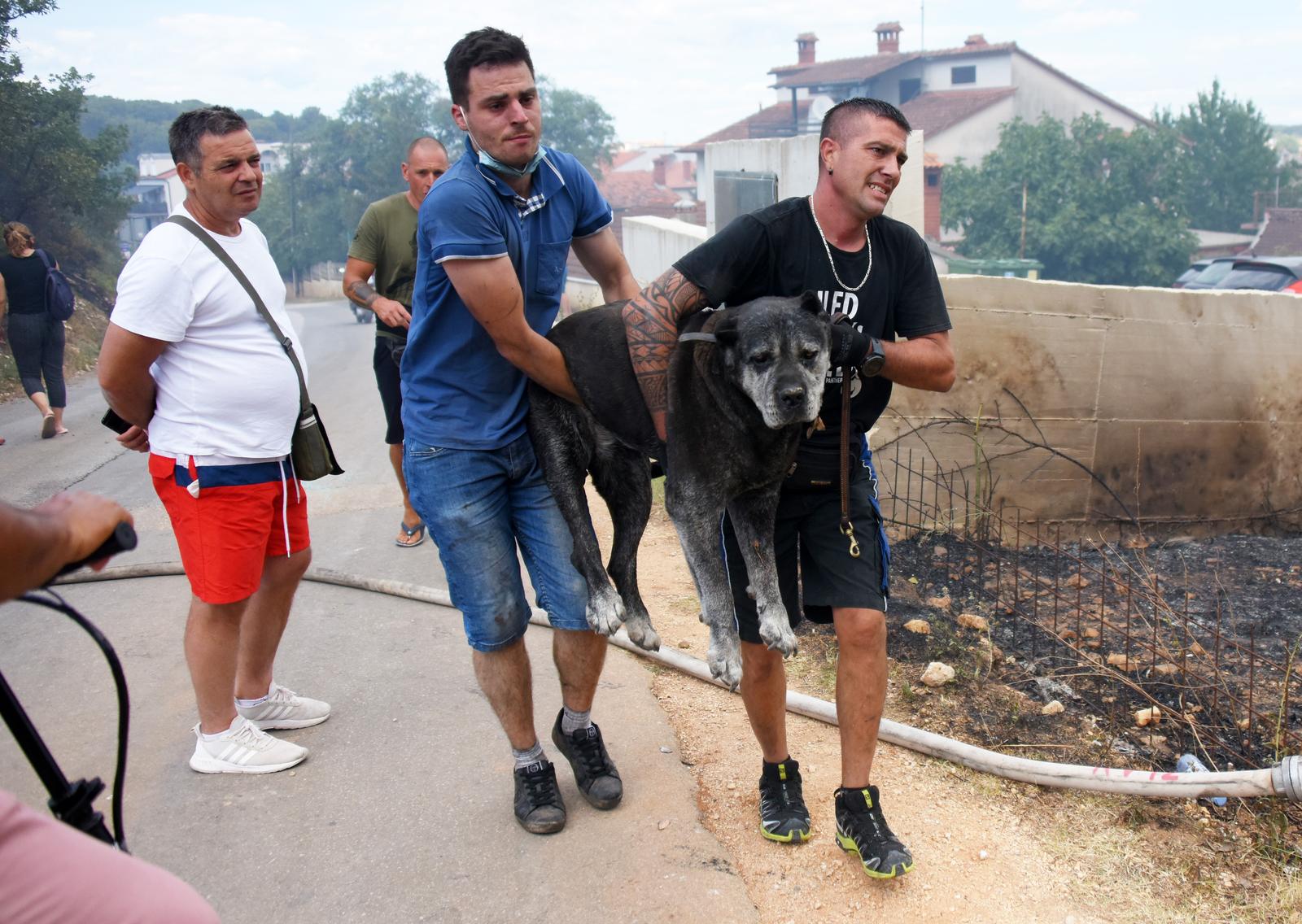 Pula: Stanovnici u panici bježe od požara koji im se približio domovima Pula: Stanovnici u panici bježe od požara koji im se približio domovima