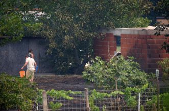 Pula: Hrabri stanovnici bore se s vatrom koja se približila njihovim domovima Pula: Hrabri stanovnici bore se s vatrom koja se približila njihovim domovima