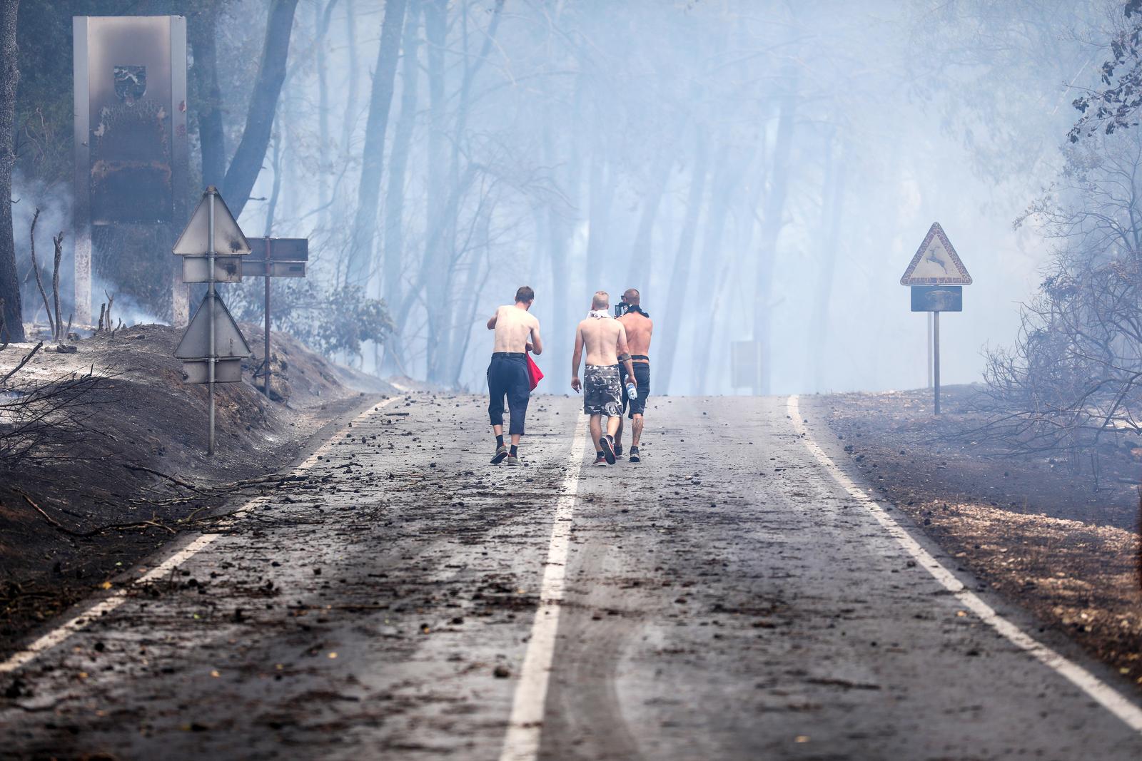 Pula: Hrabri stanovnici bore se s vatrom koja se približila njihovim domovima Pula: Hrabri stanovnici bore se s vatrom koja se približila njihovim domovima