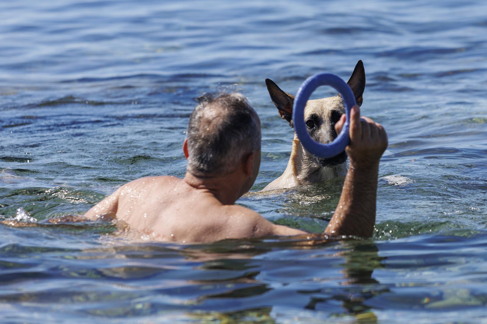 Rijeka: Psi beskrajno uživaju na psećoj plaži na Kantridi Rijeka: Psi beskrajno uživaju na psećoj plaži na Kantridi