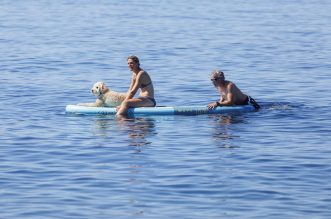 Rijeka: Psi beskrajno uživaju na psećoj plaži na Kantridi Rijeka: Psi beskrajno uživaju na psećoj plaži na Kantridi