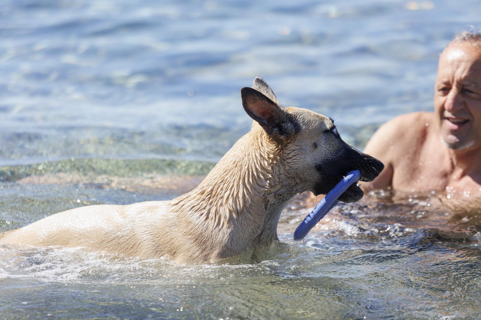 Rijeka: Psi beskrajno uživaju na psećoj plaži na Kantridi Rijeka: Psi beskrajno uživaju na psećoj plaži na Kantridi