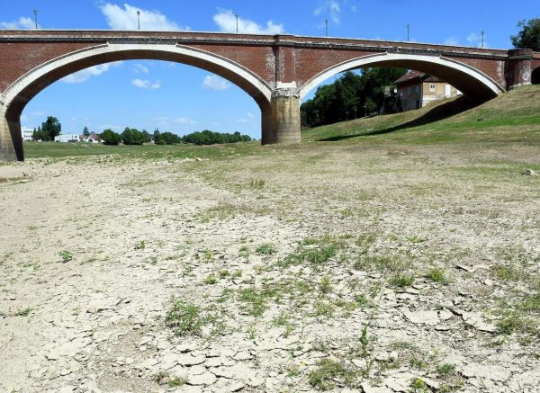 Sisak: Posljedice suše na obali rijeke Kupe