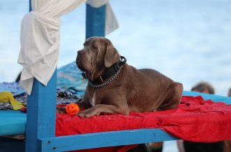 Crikvenica: 6. Underdog Marathon Crikvenica: 6. Underdog Marathon