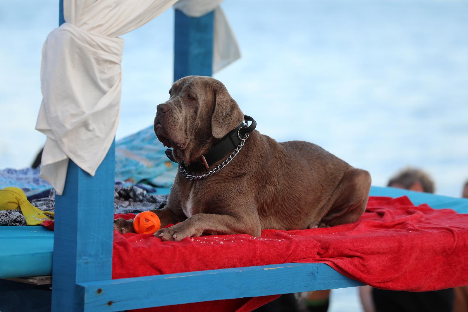 Crikvenica: 6. Underdog Marathon Crikvenica: 6. Underdog Marathon