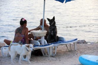 Crikvenica: 6. Underdog Marathon Crikvenica: 6. Underdog Marathon