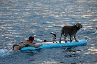 Crikvenica: 6. Underdog Marathon Crikvenica: 6. Underdog Marathon