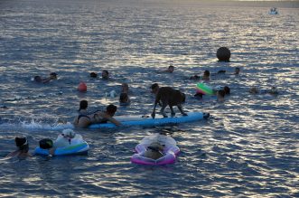 Crikvenica: 6. Underdog Marathon Crikvenica: 6. Underdog Marathon