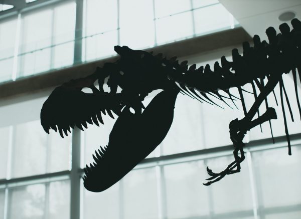 pexels-jonathan-cooper-9660900