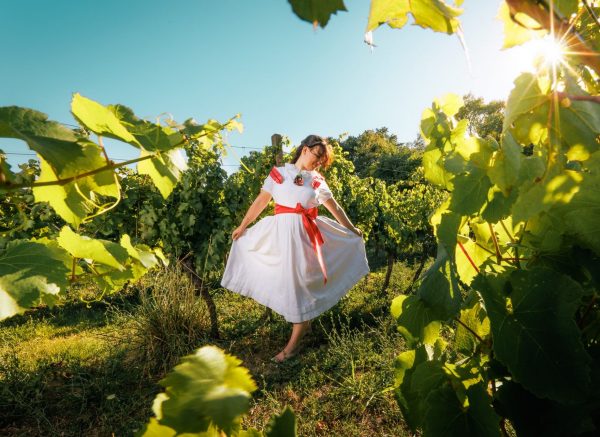 ružica vinodola ilustracija tz novi vinodolski
