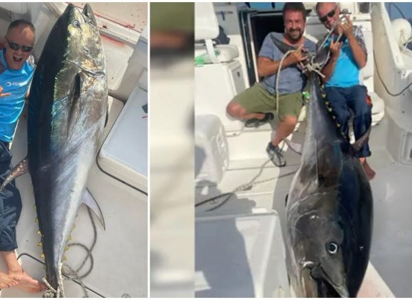 tuna res igor felker